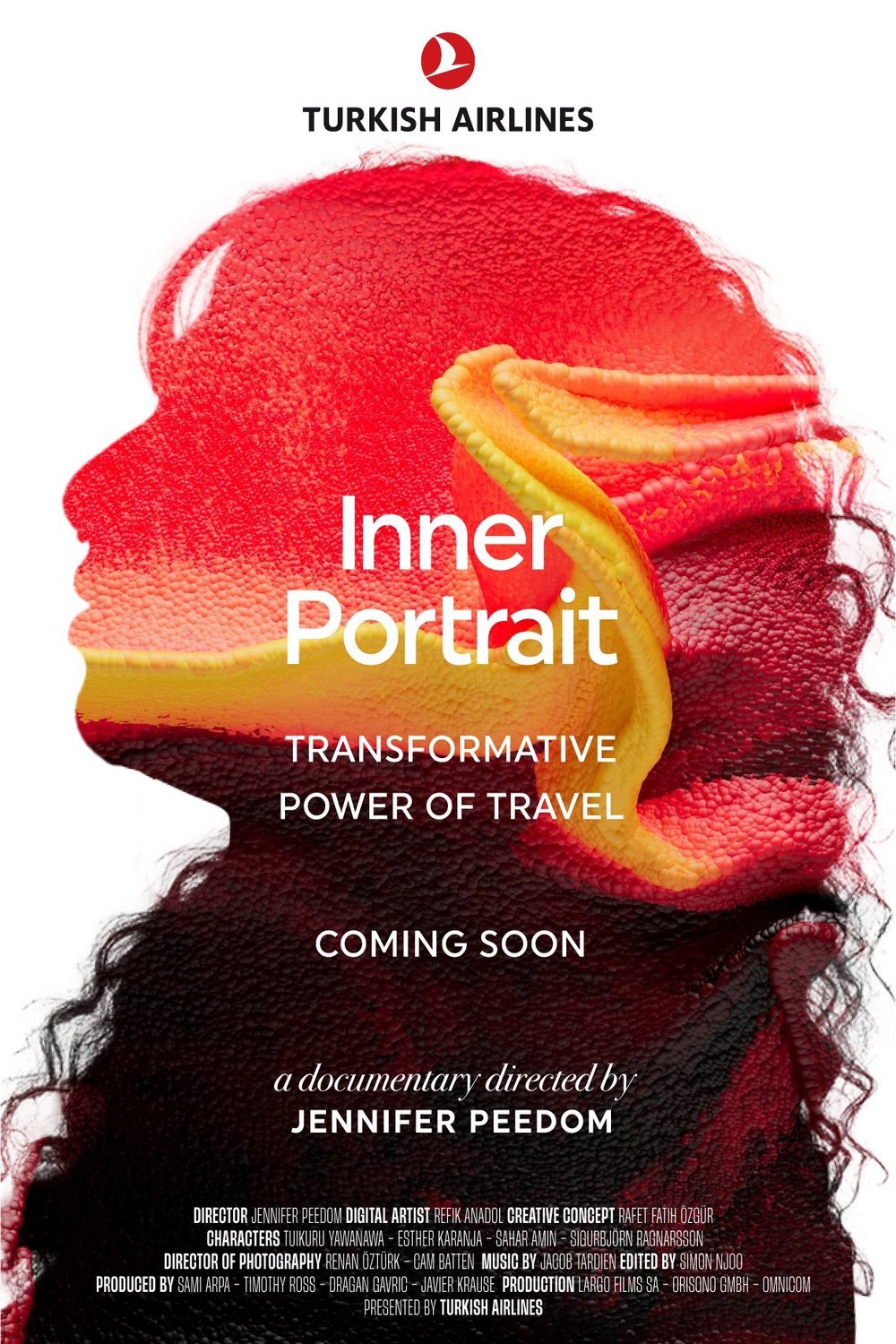 Poster of the movie Inner Portrait