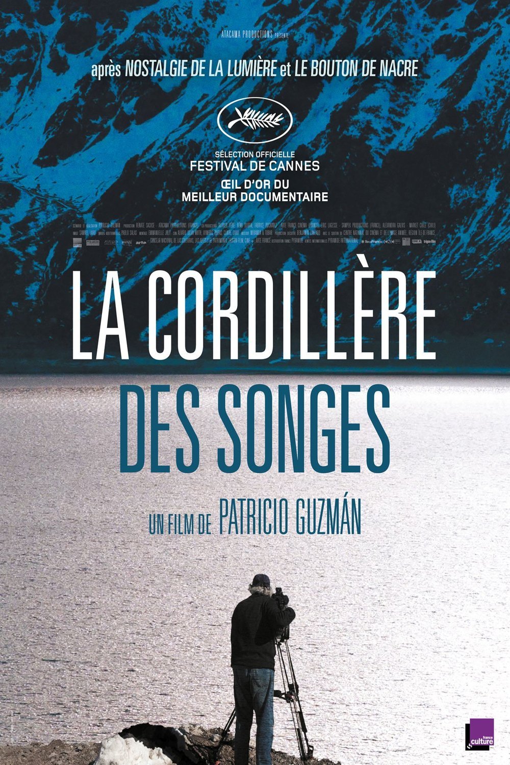 Poster of the movie La cordillère des songes