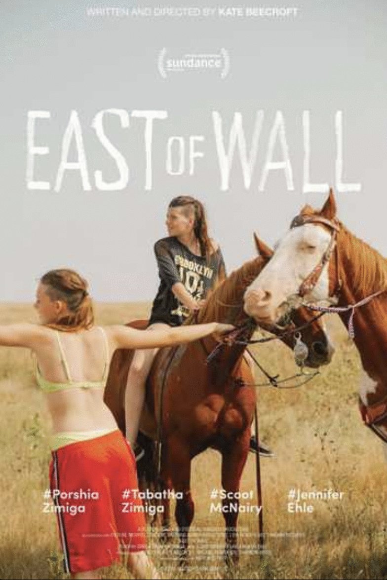 Poster of the movie East of Wall