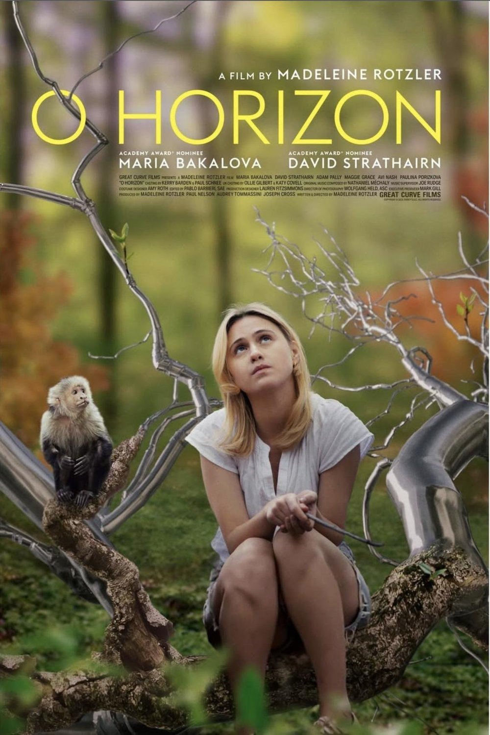 Poster of the movie O Horizon