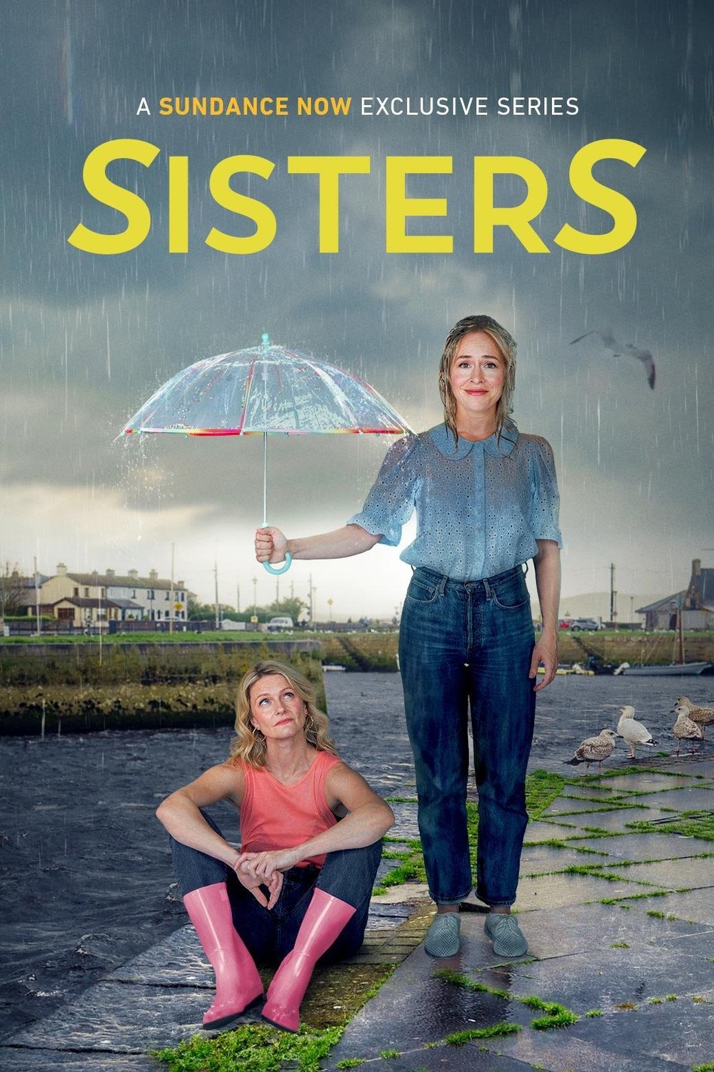 Poster of the movie SisterS