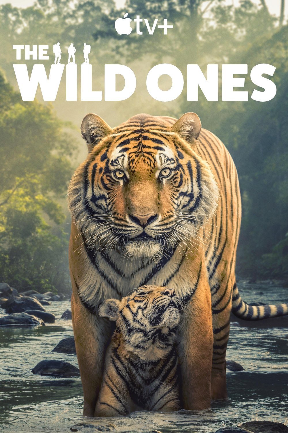 Poster of the movie The Wild Ones