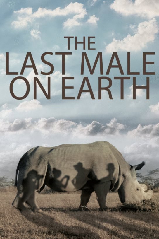 L'affiche du film The Last Male on Earth