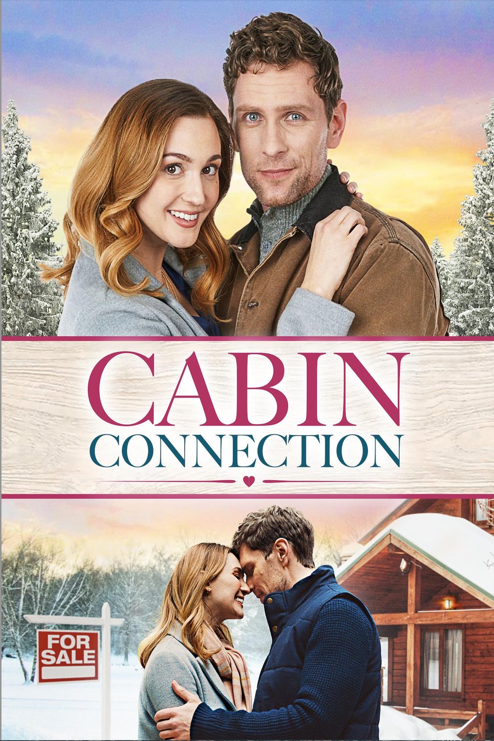 L'affiche du film Cabin Connection