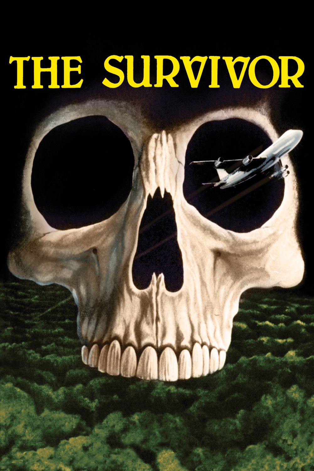 Poster of the movie The Survivor