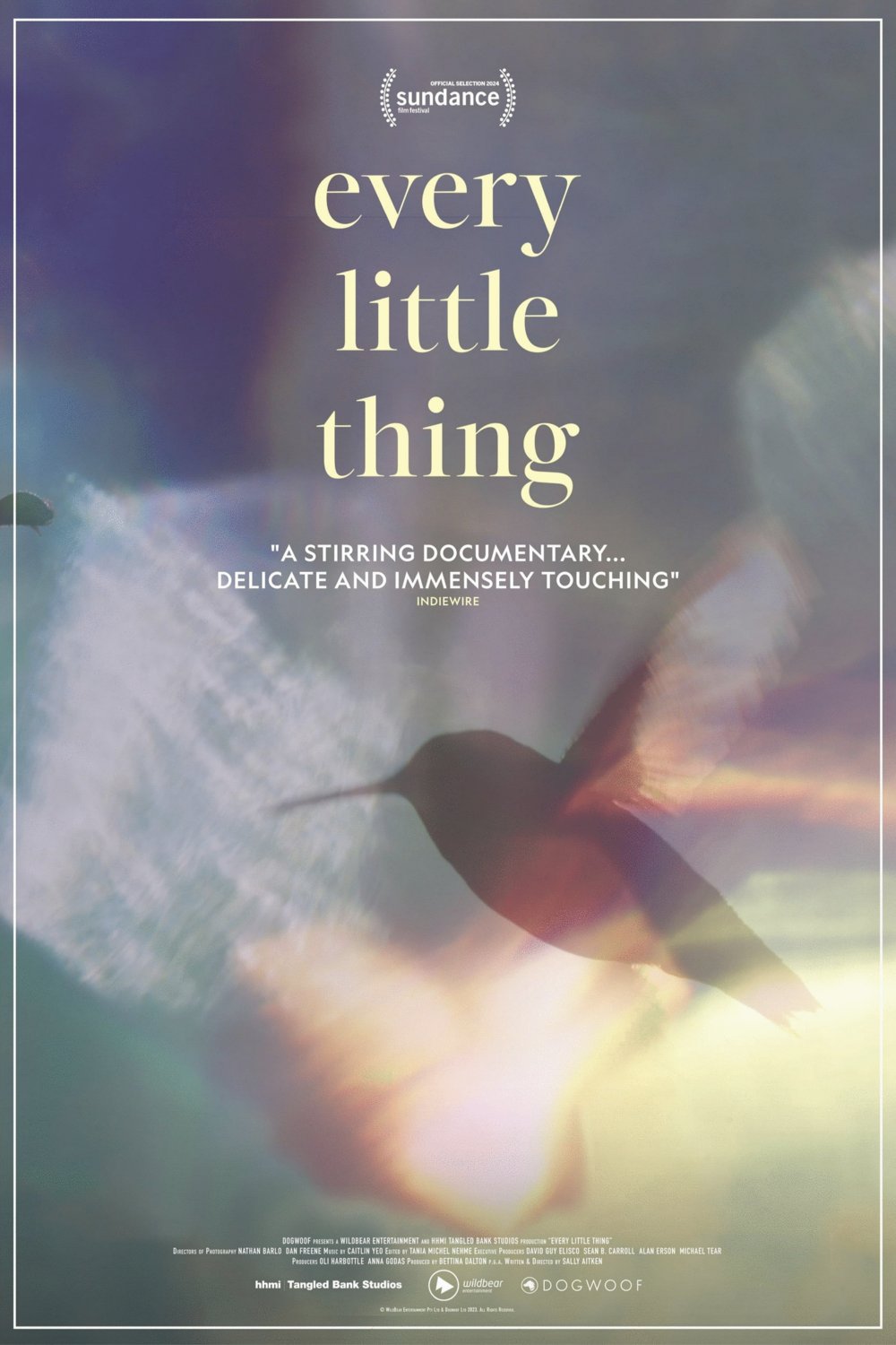 L'affiche du film Every Little Thing