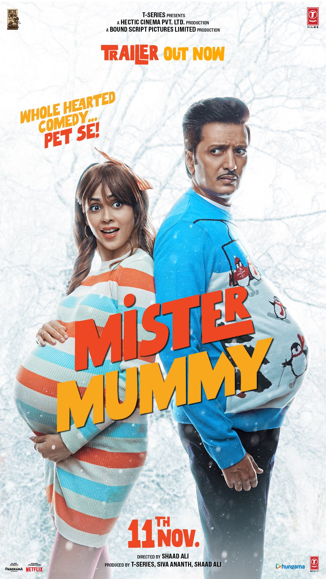 L'affiche du film Mister Mummy