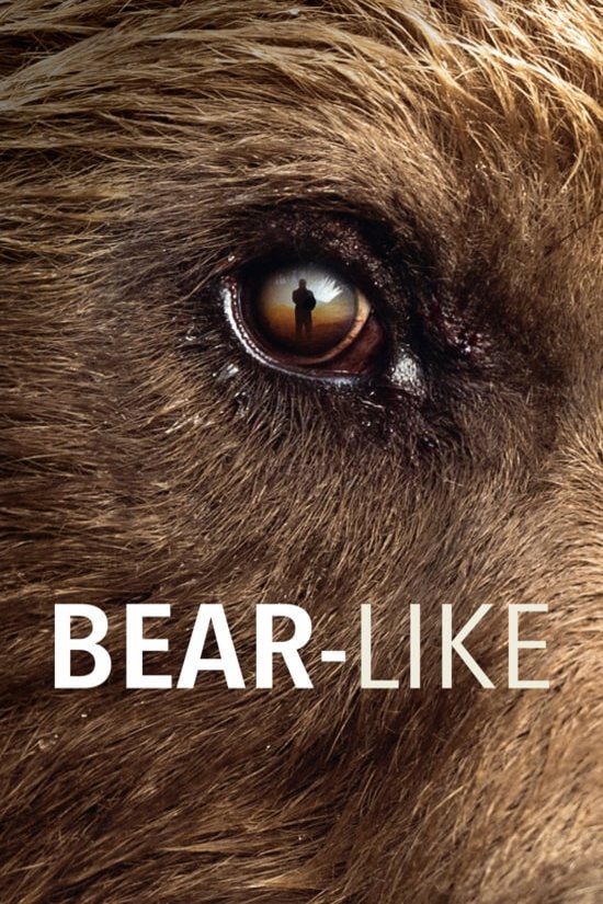 Poster of the movie Der Bär in mir