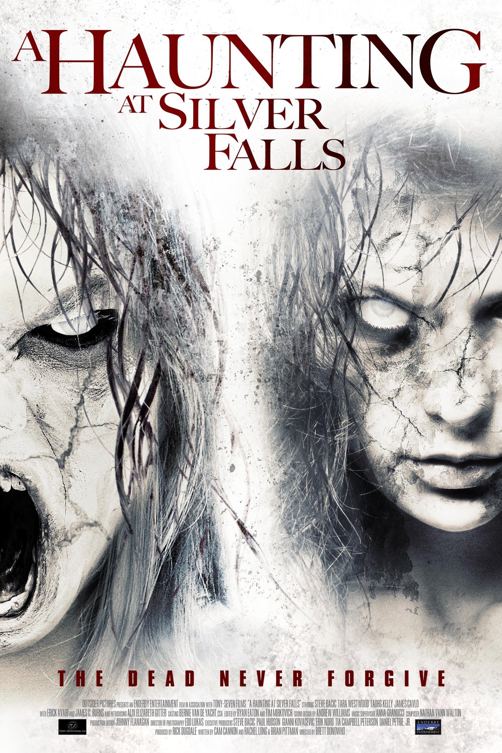 Poster of the movie A Haunting at Silver Falls