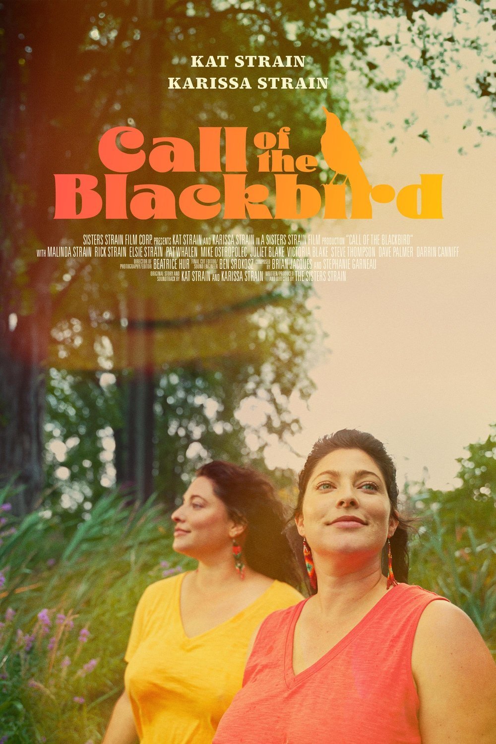 Poster of the movie Call of the Blackbird