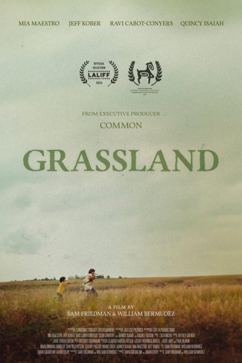 Poster of the movie Grassland