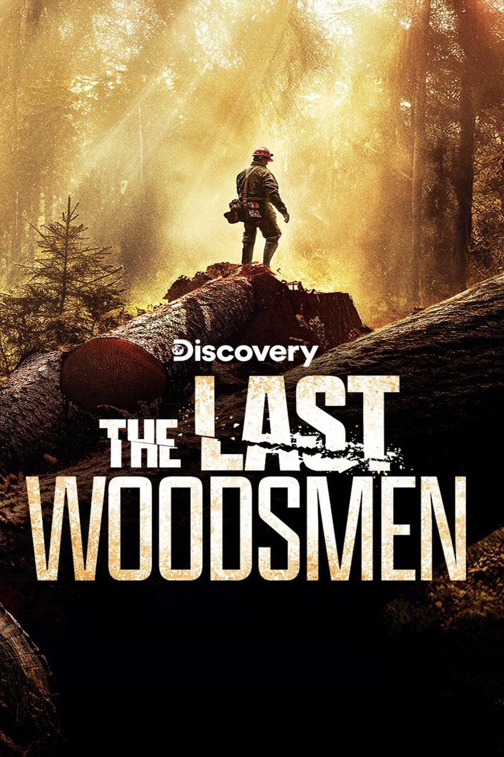 L'affiche du film The Last Woodsmen