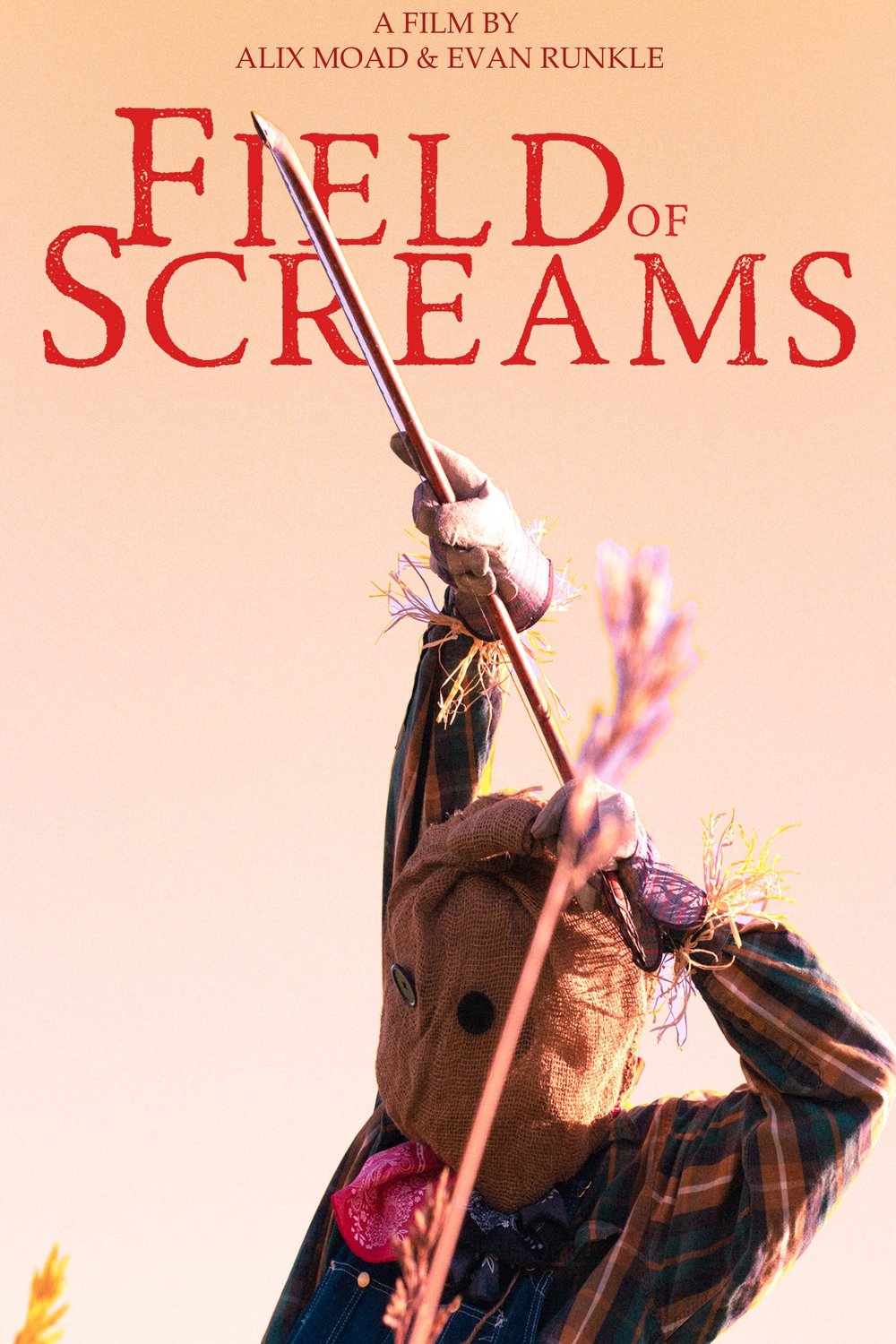 Poster of the movie Field of Screams