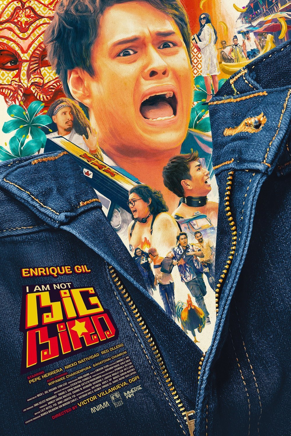 Poster of the movie I Am Not Big Bird